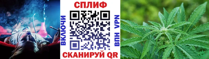 Наркошоп купить Кокаин  A PVP  АМФЕТАМИН  Галлюциногенные грибы  МЕФ  Бердск