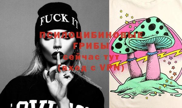 мдпв Медвежьегорск