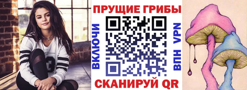 Купить  Бердск  Галлюциногенные грибы MAGIC MUSHROOMS 